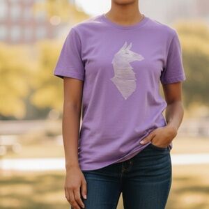 cotopaxi topo llama organic cotton blend t-shirt in thistle